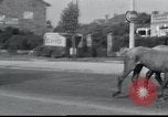 Image of Evacuees France, 1940, second 26 stock footage video 65675073797
