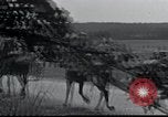 Standbild deutsche Truppen Frankreich, 1940, aus Sekunde 43 historischem Filmmaterial Videoclip 65675073799