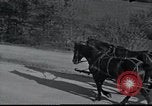 Standbild deutsche Truppen Frankreich, 1940, aus Sekunde 5 historischem Filmmaterial Videoclip 65675073803