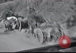 Image Troupes allemandes L'Aisne en France, 1940, de la seconde 26 séquences d'archives historiques vidéo 65675073807