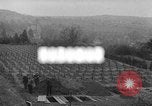 Image Enquête de centre d'euthanasie Hadamar Allemagne, 1945, de la seconde 1 séquences d'archives historiques vidéo 65675073816
