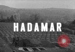 Image Enquête de centre d'euthanasie Hadamar Allemagne, 1945, de la seconde 3 séquences d'archives historiques vidéo 65675073816