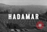 Image Enquête de centre d'euthanasie Hadamar Allemagne, 1945, de la seconde 4 séquences d'archives historiques vidéo 65675073816