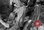Image of United States troops Germany, 1945, second 20 stock footage video 65675073817