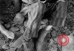 Image of United States troops Germany, 1945, second 21 stock footage video 65675073817
