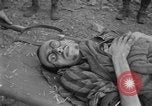 Image of United States troops Germany, 1945, second 39 stock footage video 65675073817