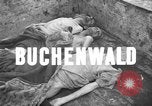 Standbild Leichen Deutschland, 1945, aus Sekunde 3 historischem Filmmaterial Videoclip 65675073818