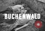 Standbild Leichen Deutschland, 1945, aus Sekunde 4 historischem Filmmaterial Videoclip 65675073818