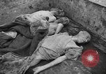 Standbild Leichen Deutschland, 1945, aus Sekunde 5 historischem Filmmaterial Videoclip 65675073818