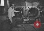 Standbild Leichen Deutschland, 1945, aus Sekunde 12 historischem Filmmaterial Videoclip 65675073818