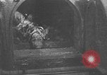 Standbild Leichen Deutschland, 1945, aus Sekunde 17 historischem Filmmaterial Videoclip 65675073818