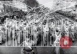 Standbild Vereinigten Staaten Marines Tarawa Gilbert Inseln, 1943, aus Sekunde 9 historischem Filmmaterial Videoclip 65675073829