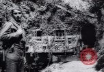 Standbild Marschall Josip Broz Tito Jugoslawien, 1944, aus Sekunde 8 historischem Filmmaterial Videoclip 65675073832