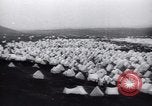 Image Bjornsson Sveinn Reykjavik Islande, 1944, de la seconde 8 séquences d'archives historiques vidéo 65675073836