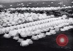 Image Bjornsson Sveinn Reykjavik Islande, 1944, de la seconde 12 séquences d'archives historiques vidéo 65675073836