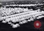 Image Bjornsson Sveinn Reykjavik Islande, 1944, de la seconde 13 séquences d'archives historiques vidéo 65675073836
