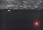 Immagine di Stati Uniti Task Force di navi Teatro pacifico, 1944, secondo 52 filmato di repertorio 65675073838