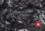 Immagine di Stati Uniti truppe Isola di Biak Indonesia, 1944, secondo 57 filmato di repertorio 65675073839