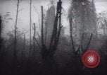 Standbild Vereinigten Staaten Truppen Noemfoor Indonesien, 1944, aus Sekunde 20 historischem Filmmaterial Videoclip 65675073840