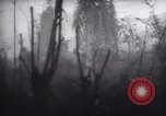 Standbild Vereinigten Staaten Truppen Noemfoor Indonesien, 1944, aus Sekunde 21 historischem Filmmaterial Videoclip 65675073840