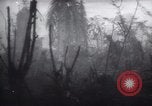 Standbild Vereinigten Staaten Truppen Noemfoor Indonesien, 1944, aus Sekunde 22 historischem Filmmaterial Videoclip 65675073840