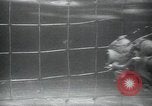 Image of British frogmen United Kingdom, 1945, second 20 stock footage video 65675073845