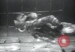 Image of British frogmen United Kingdom, 1945, second 25 stock footage video 65675073845