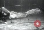 Image of British frogmen United Kingdom, 1945, second 26 stock footage video 65675073845