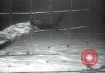 Image of British frogmen United Kingdom, 1945, second 27 stock footage video 65675073845