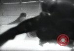 Image of British frogmen United Kingdom, 1945, second 49 stock footage video 65675073845