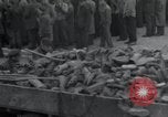 Image d'aumôniers juifs Allemagne, 1945, de la seconde 37 séquences d'archives historiques vidéo 65675073855