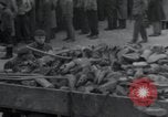 Image d'aumôniers juifs Allemagne, 1945, de la seconde 38 séquences d'archives historiques vidéo 65675073855