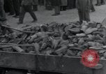 Image d'aumôniers juifs Allemagne, 1945, de la seconde 39 séquences d'archives historiques vidéo 65675073855