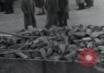 Image d'aumôniers juifs Allemagne, 1945, de la seconde 41 séquences d'archives historiques vidéo 65675073855