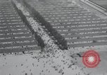 Image camp de concentration de Dachau Allemagne, 1945, de la seconde 13 séquences d'archives historiques vidéo 65675073859