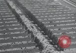 Image camp de concentration de Dachau Allemagne, 1945, de la seconde 18 séquences d'archives historiques vidéo 65675073859