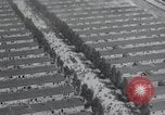 Image camp de concentration de Dachau Allemagne, 1945, de la seconde 19 séquences d'archives historiques vidéo 65675073859