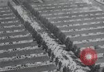 Image camp de concentration de Dachau Allemagne, 1945, de la seconde 23 séquences d'archives historiques vidéo 65675073859