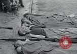 Image of emaciated corpses Germany, 1945, second 11 stock footage video 65675073860