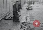 Image of emaciated corpses Germany, 1945, second 18 stock footage video 65675073860