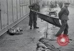Image of emaciated corpses Germany, 1945, second 20 stock footage video 65675073860