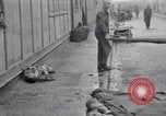 Image of emaciated corpses Germany, 1945, second 23 stock footage video 65675073860