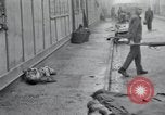 Image of emaciated corpses Germany, 1945, second 24 stock footage video 65675073860