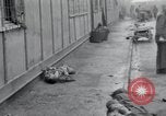 Image of emaciated corpses Germany, 1945, second 25 stock footage video 65675073860