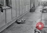 Image of emaciated corpses Germany, 1945, second 26 stock footage video 65675073860