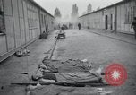 Image of emaciated corpses Germany, 1945, second 30 stock footage video 65675073860