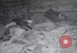 Image of dead bodies of inmates Germany, 1945, second 19 stock footage video 65675073862