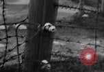 Immagine di Natzweiler - Struthof camp Francia, 1944, secondo 49 filmato di repertorio 65675073871