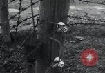 Immagine di Natzweiler - Struthof camp Francia, 1944, secondo 51 filmato di repertorio 65675073871