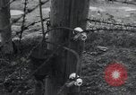 Immagine di Natzweiler - Struthof camp Francia, 1944, secondo 52 filmato di repertorio 65675073871